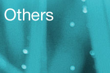 Others